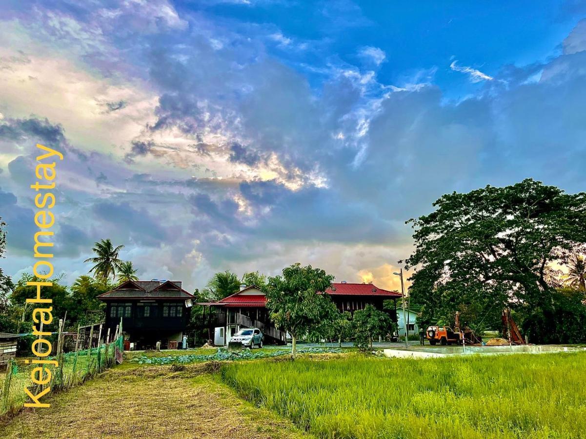 Kejora Homestay Kangar Exteriör bild