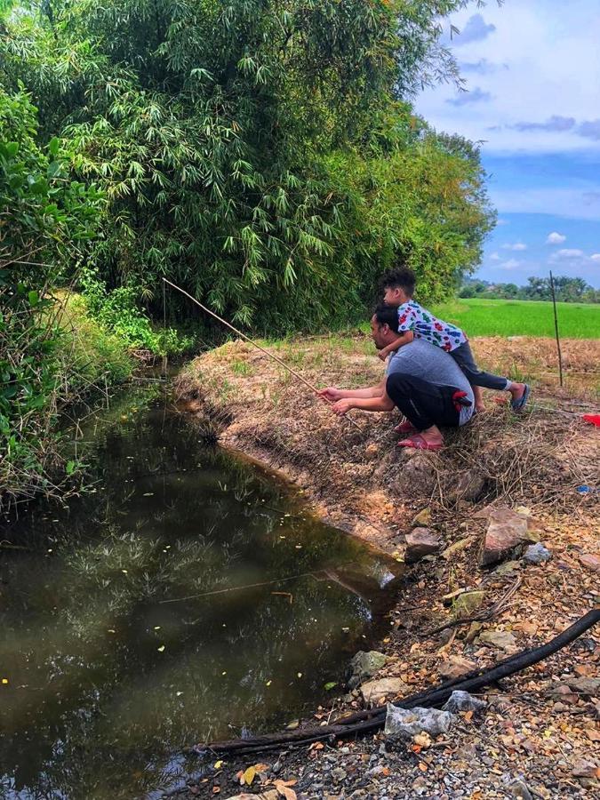 Kejora Homestay Kangar Exteriör bild