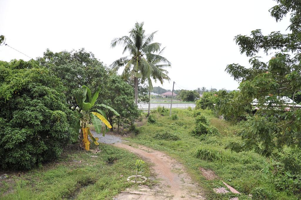 Kejora Homestay Kangar Exteriör bild
